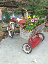Load image into Gallery viewer, Little Flower Bike